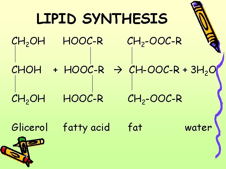 LIPID SYNTHESIS CH 2 OH CHOH HOOC-R CH 2 -OOC-R + HOOC-R CH-OOC-R +