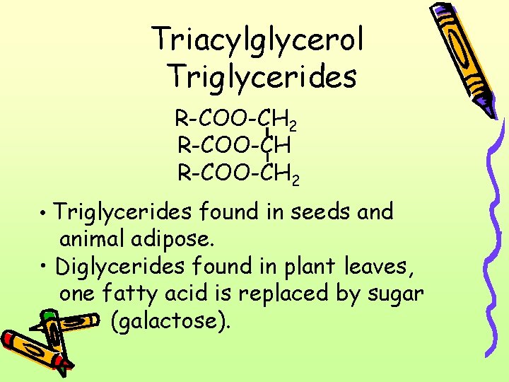 Triacylglycerol Triglycerides R-COO-CH 2 • Triglycerides found in seeds and animal adipose. • Diglycerides