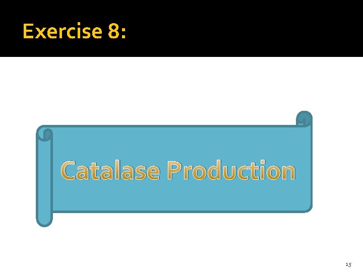 Exercise 8: Catalase Production 15 