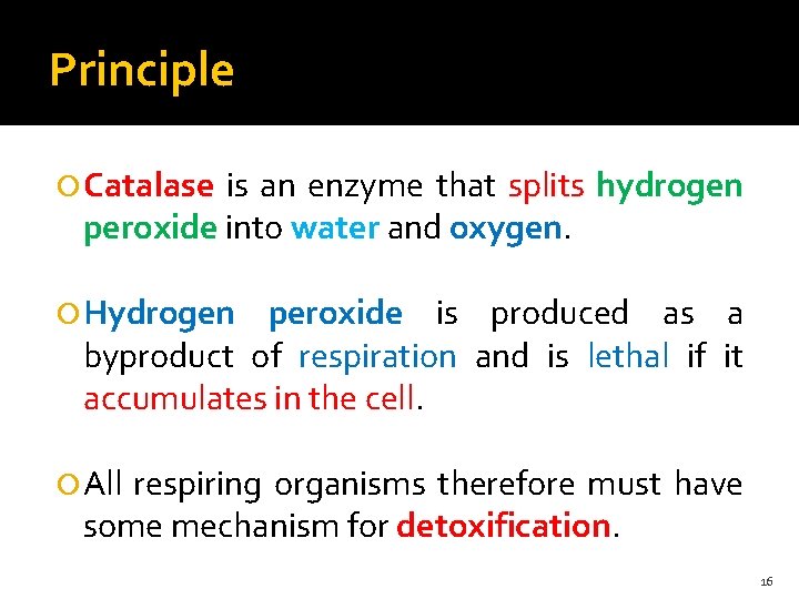 Principle Catalase is an enzyme that splits hydrogen peroxide into water and oxygen. Hydrogen