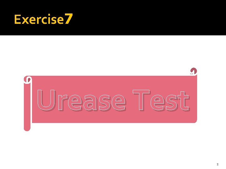 Exercise 7 Urease Test 2 