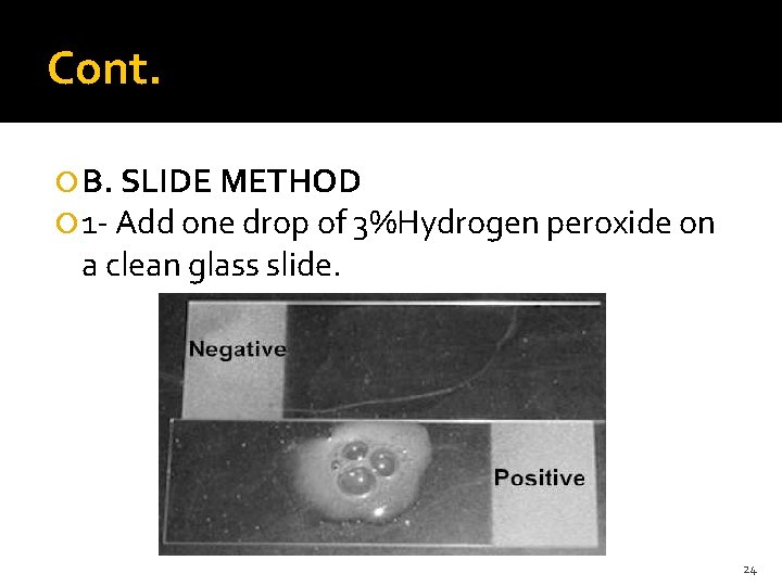 Cont. B. SLIDE METHOD 1 - Add one drop of 3%Hydrogen peroxide on a