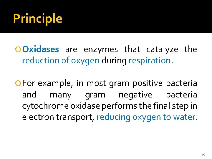 Principle Oxidases are enzymes that catalyze the reduction of oxygen during respiration. For example,