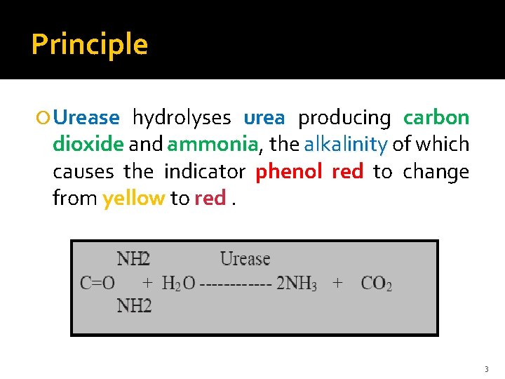 Principle Urease hydrolyses urea producing carbon dioxide and ammonia, the alkalinity of which causes