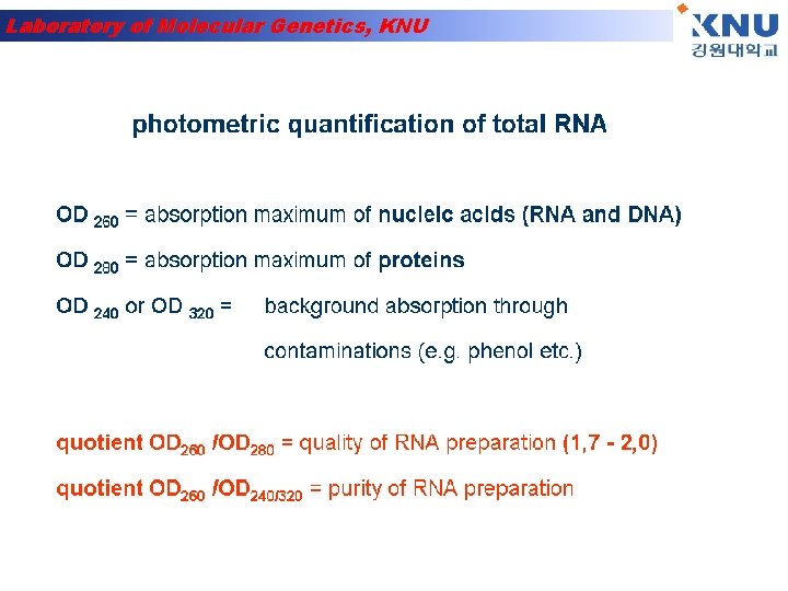 Laboratory of Molecular Genetics, KNU 