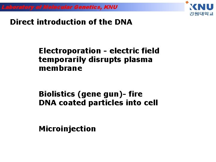 Laboratory of Molecular Genetics, KNU Direct introduction of the DNA Electroporation - electric field