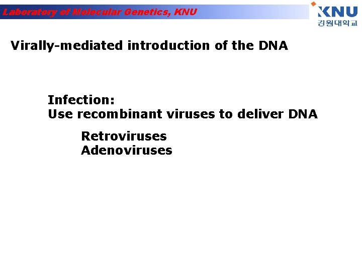 Laboratory of Molecular Genetics, KNU Virally-mediated introduction of the DNA Infection: Use recombinant viruses