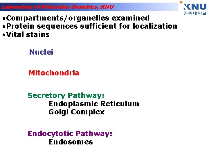 Laboratory of Molecular Genetics, KNU • Compartments/organelles examined • Protein sequences sufficient for localization