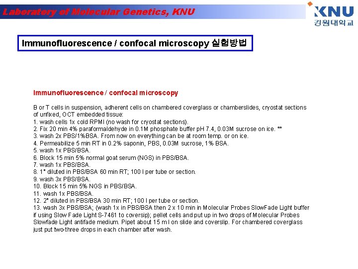 Laboratory of Molecular Genetics, KNU Immunofluorescence / confocal microscopy 실험방법 Immunofluorescence / confocal microscopy