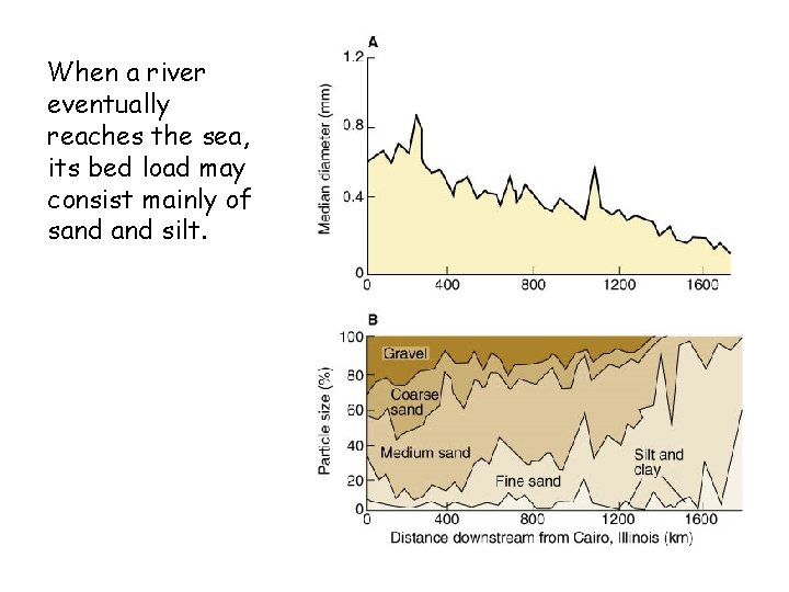 When a river eventually reaches the sea, its bed load may consist mainly of