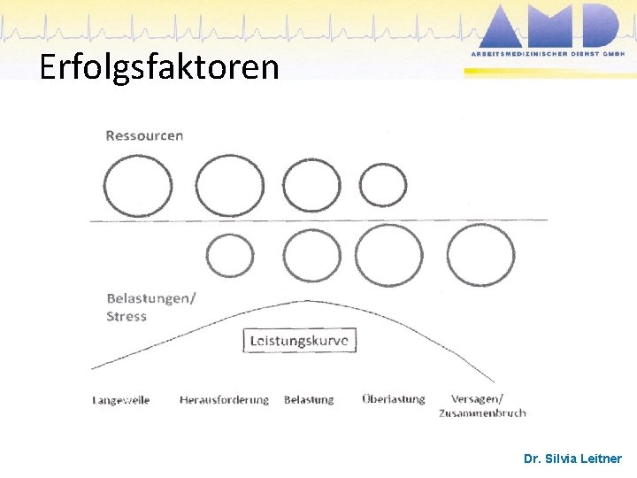 Erfolgsfaktoren Dr. Silvia Leitner 