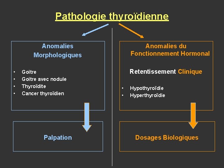 Pathologie thyroïdienne Anomalies Morphologiques • • Goitre avec nodule Thyroïdite Cancer thyroïdien Palpation Anomalies