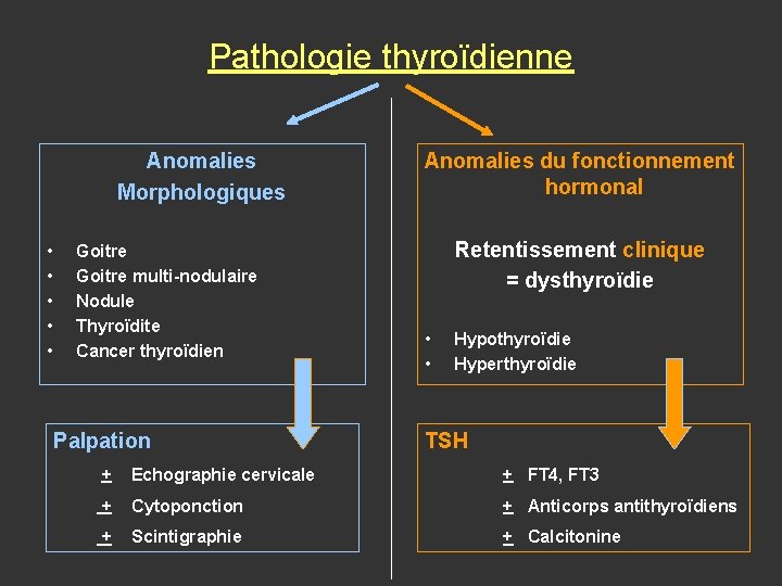 Pathologie thyroïdienne Anomalies Morphologiques • • • Goitre multi-nodulaire Nodule Thyroïdite Cancer thyroïdien Palpation