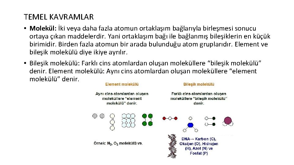 TEMEL KAVRAMLAR • Molekül: İki veya daha fazla atomun ortaklaşım bağlarıyla birleşmesi sonucu ortaya