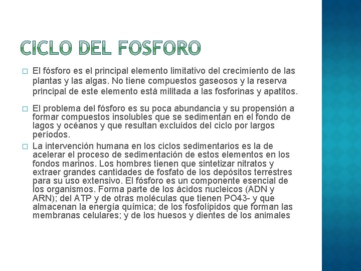 � El fósforo es el principal elemento limitativo del crecimiento de las plantas y