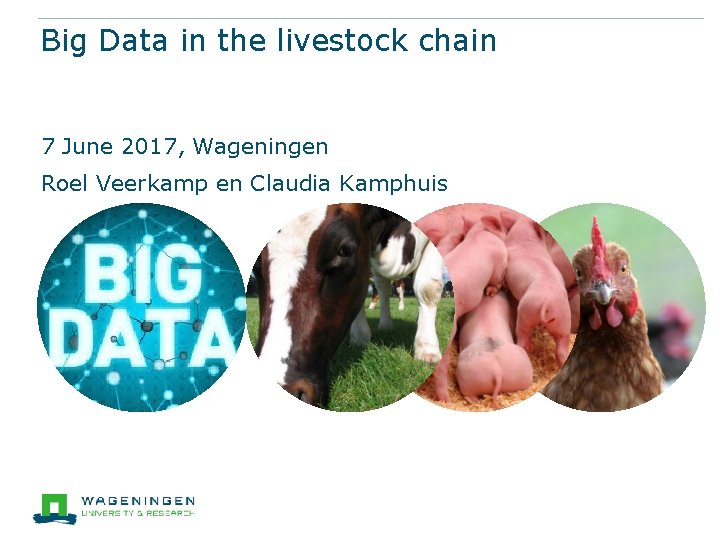 Big Data in the livestock chain 7 June 2017, Wageningen Roel Veerkamp en Claudia