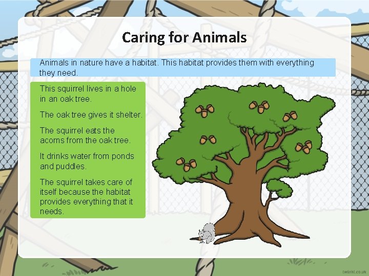Caring for Animals in nature have a habitat. This habitat provides them with everything