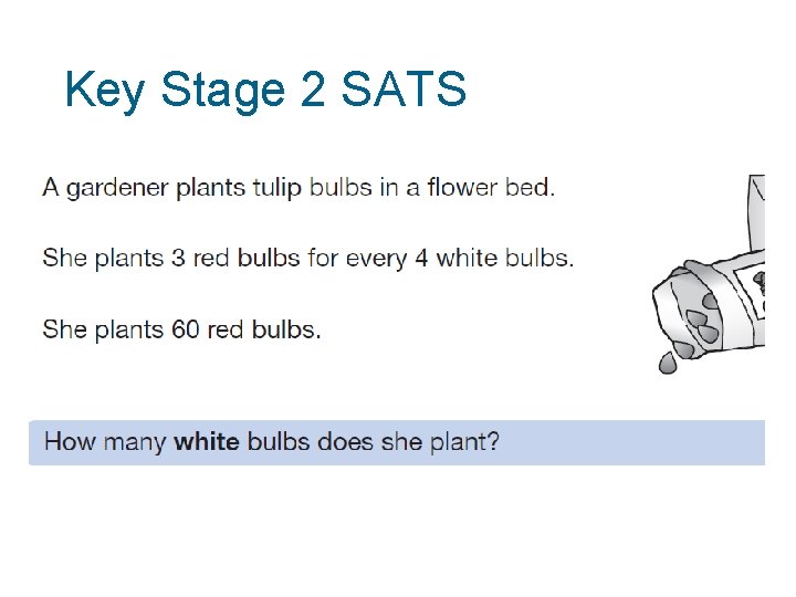 Key Stage 2 SATS 