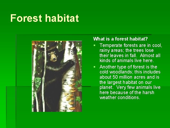 Forest habitat What is a forest habitat? § Temperate forests are in cool, rainy