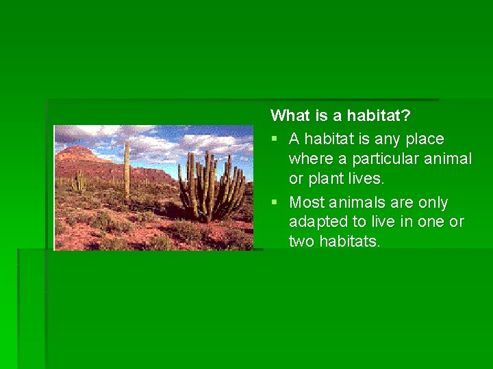 What is a habitat? § A habitat is any place where a particular animal
