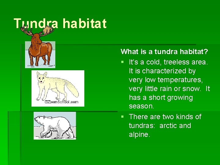 Tundra habitat What is a tundra habitat? § It’s a cold, treeless area. It