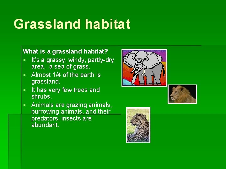 Grassland habitat What is a grassland habitat? § It’s a grassy, windy, partly-dry area,