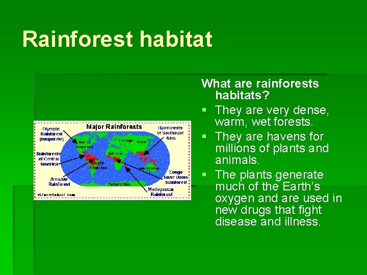 Rainforest habitat What are rainforests habitats? § They are very dense, warm, wet forests.
