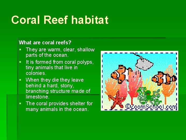 Coral Reef habitat What are coral reefs? § They are warm, clear, shallow parts