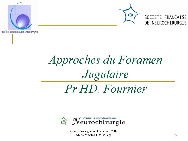Approches du Foramen Jugulaire Pr HD. Fournier Cours d'enseignement supérieur 2008 SNFC & SNCLF