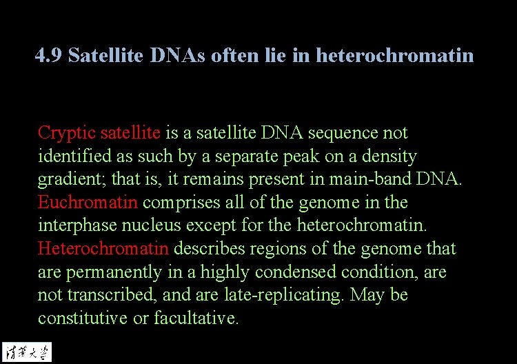 4. 9 Satellite DNAs often lie in heterochromatin Cryptic satellite is a satellite DNA