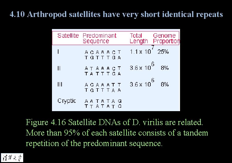 4. 10 Arthropod satellites have very short identical repeats Figure 4. 16 Satellite DNAs