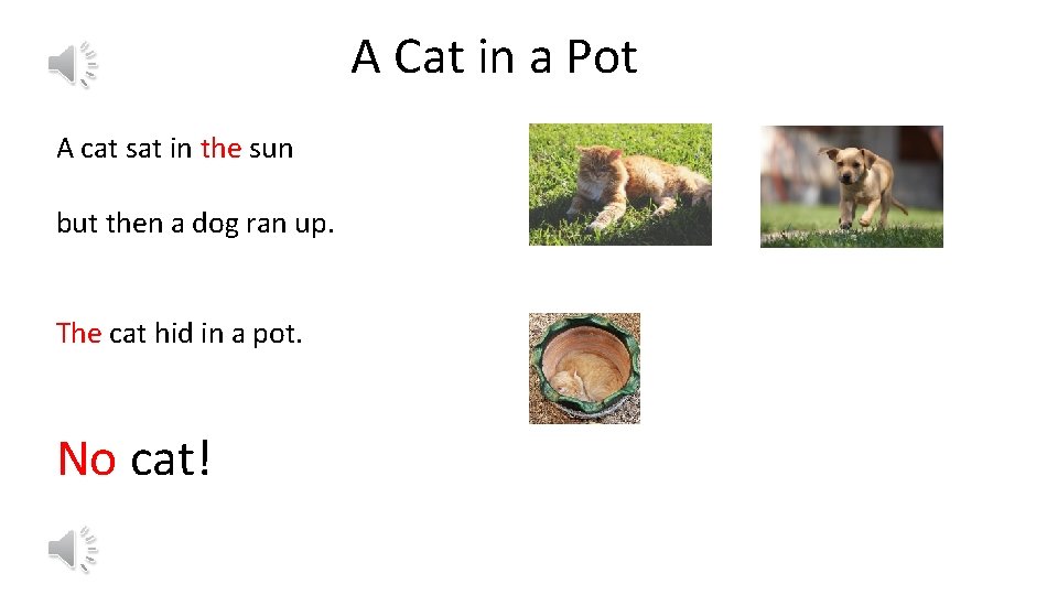 A Cat in a Pot A cat sat in the sun but then a