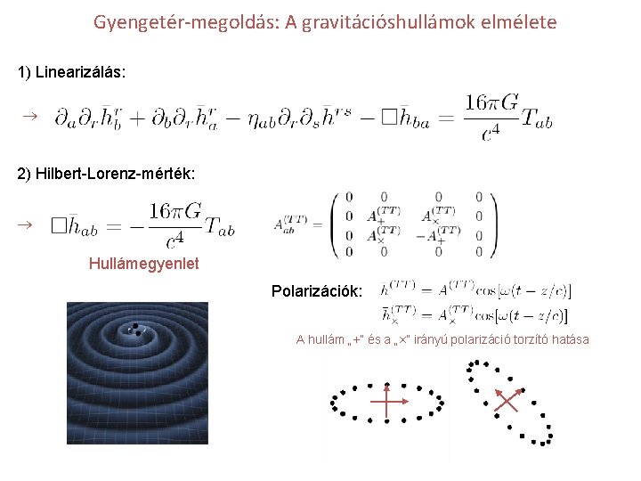 Gyengetér-megoldás: A gravitációshullámok elmélete 1) Linearizálás: 2) Hilbert-Lorenz-mérték: Hullámegyenlet Polarizációk: A hullám „+” és