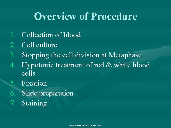 Overview of Procedure 1. 2. 3. 4. 5. 6. 7. Collection of blood Cell