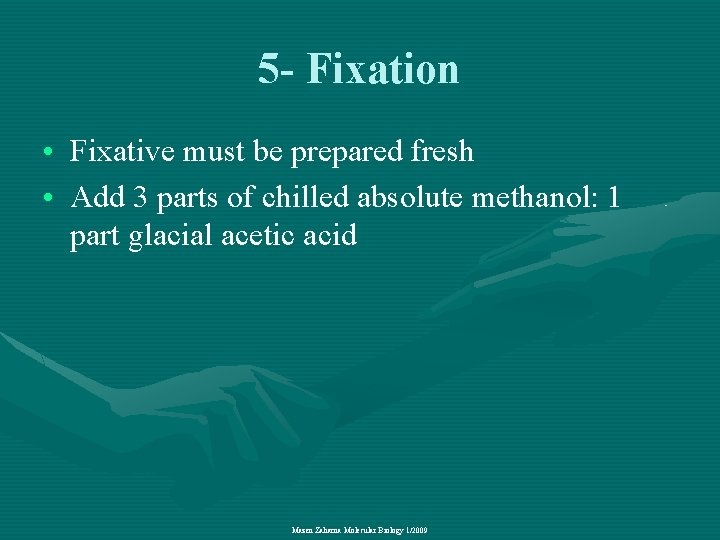 5 - Fixation • Fixative must be prepared fresh • Add 3 parts of