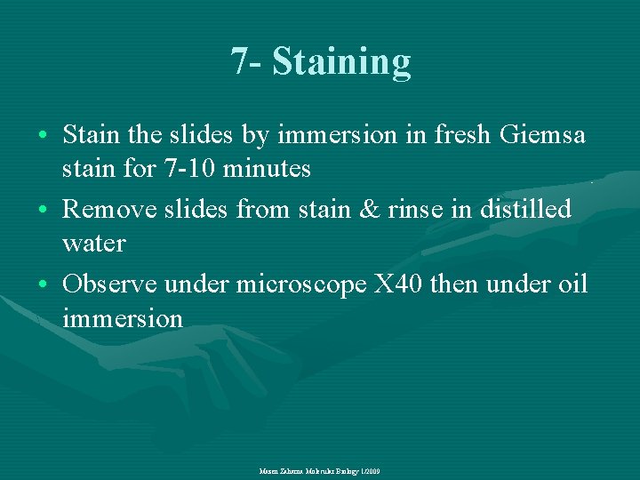 7 - Staining • Stain the slides by immersion in fresh Giemsa stain for