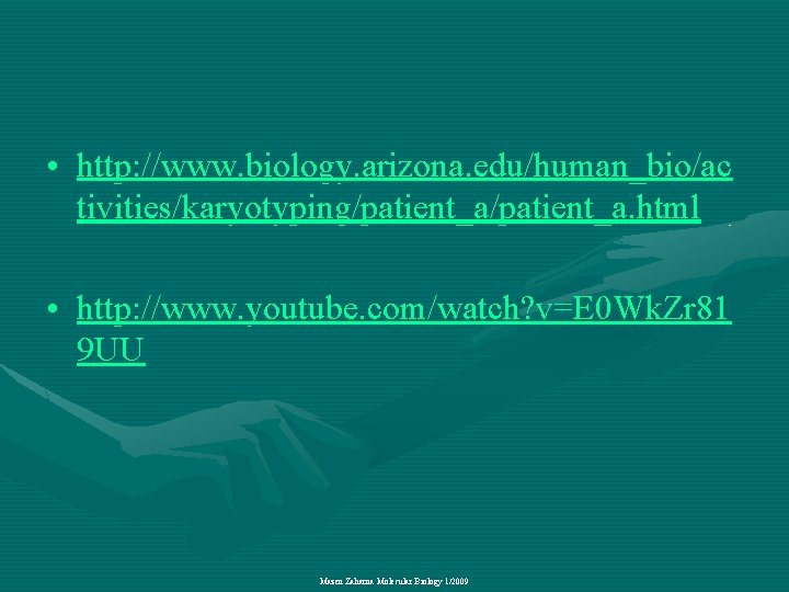  • http: //www. biology. arizona. edu/human_bio/ac tivities/karyotyping/patient_a. html • http: //www. youtube. com/watch?