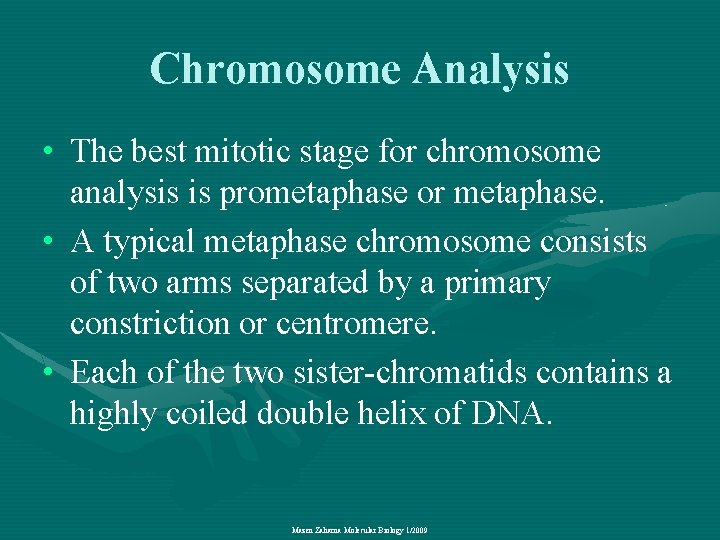 Chromosome Analysis • The best mitotic stage for chromosome analysis is prometaphase or metaphase.