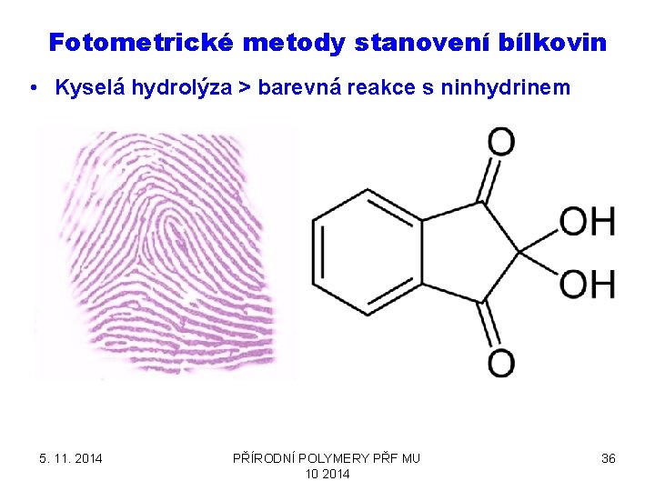 Fotometrické metody stanovení bílkovin • Kyselá hydrolýza > barevná reakce s ninhydrinem 5. 11.