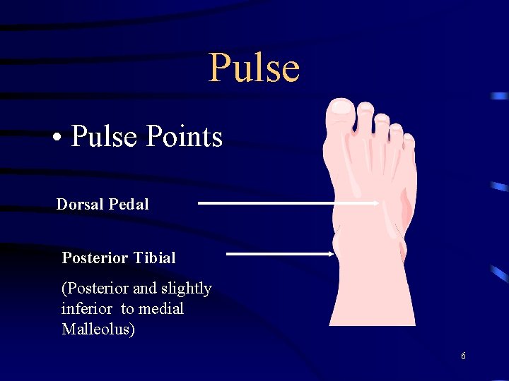 Pulse • Pulse Points Dorsal Pedal Posterior Tibial (Posterior and slightly inferior to medial