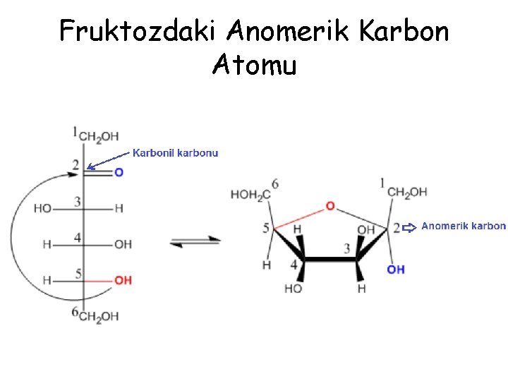 Fruktozdaki Anomerik Karbon Atomu 