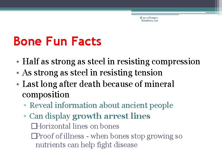 © 2013 Pearson Education, Inc. Bone Fun Facts • Half as strong as steel