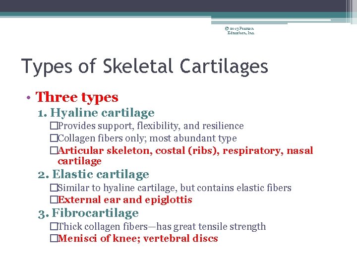 © 2013 Pearson Education, Inc. Types of Skeletal Cartilages • Three types 1. Hyaline