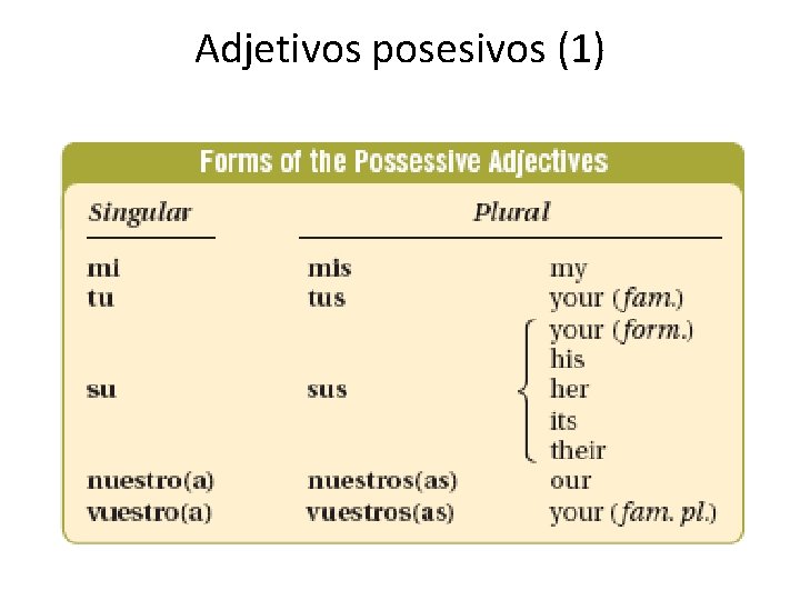 Adjetivos posesivos (1) 