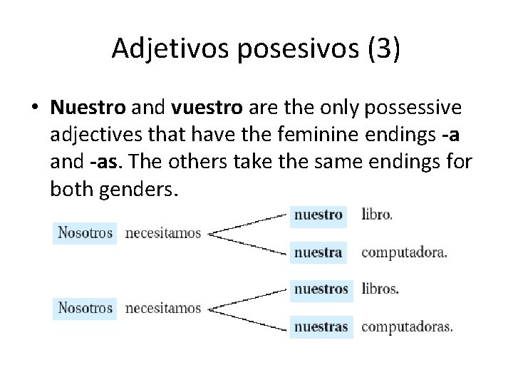 Adjetivos posesivos (3) • Nuestro and vuestro are the only possessive adjectives that have