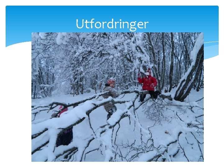 Utfordringer 