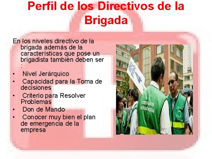 Perfil de los Directivos de la Brigada En los niveles directivo de la brigada