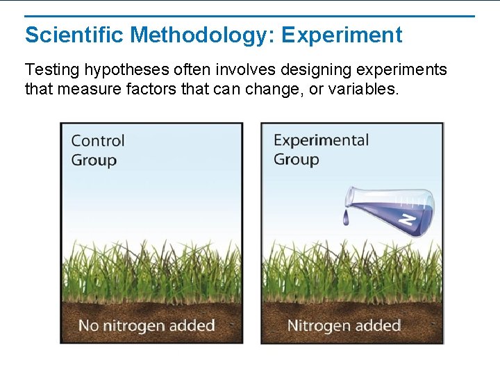Scientific Methodology: Experiment Testing hypotheses often involves designing experiments that measure factors that can