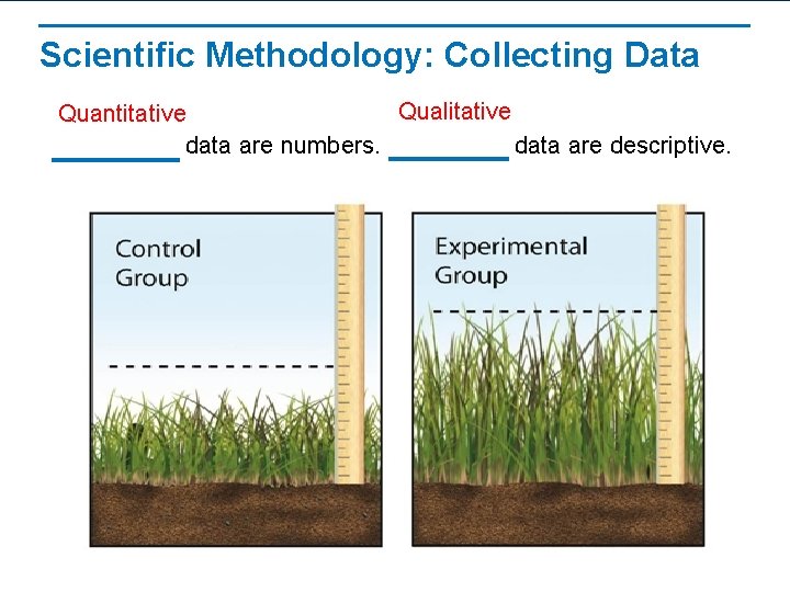 Scientific Methodology: Collecting Data Qualitative Quantitative data are numbers. data are descriptive. 
