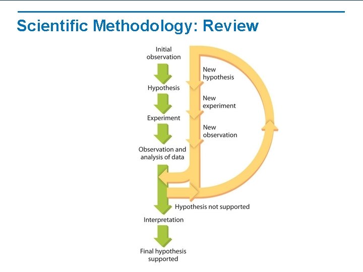 Scientific Methodology: Review 